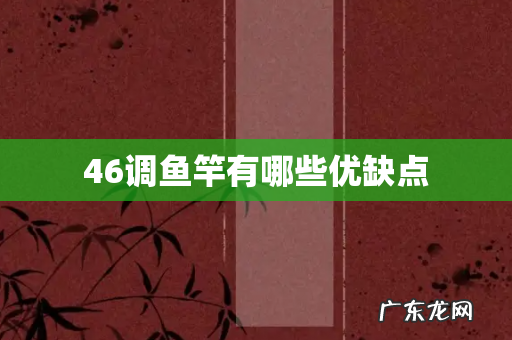 46调鱼竿有哪些优缺点