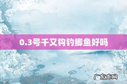0.3号千又钩钓鲫鱼好吗