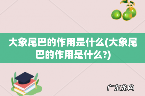 大象尾巴的作用是什么? 大象尾巴的作用是什么