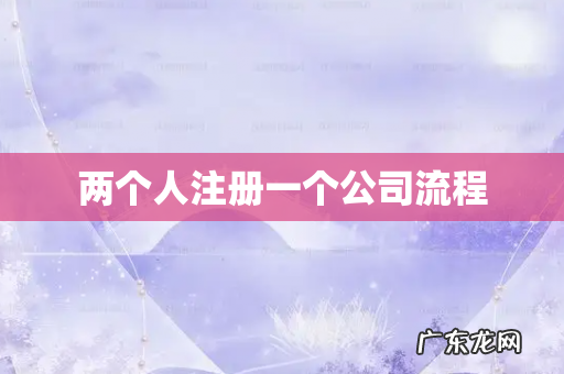 两个人注册一个公司流程