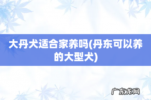 丹东可以养的大型犬 大丹犬适合家养吗