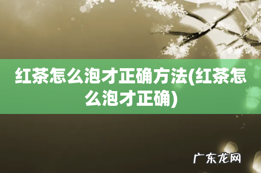 红茶怎么泡才正确 红茶怎么泡才正确方法