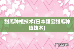 日本甜宝甜瓜种植技术 甜瓜种植技术