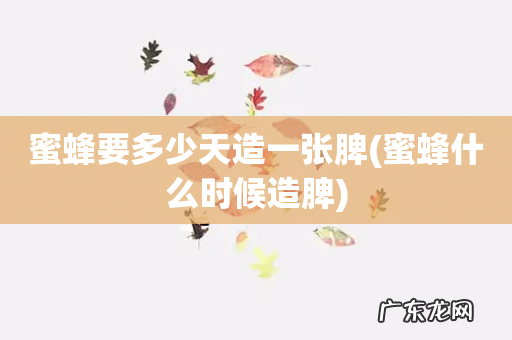 蜜蜂什么时候造脾 蜜蜂要多少天造一张脾