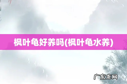 枫叶龟水养 枫叶龟好养吗