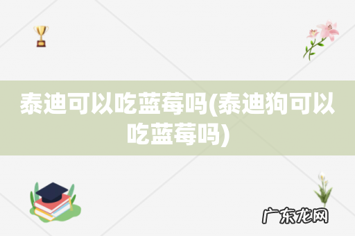 泰迪狗可以吃蓝莓吗 泰迪可以吃蓝莓吗