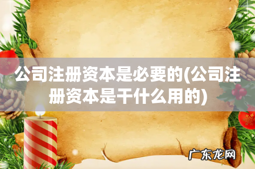 公司注册资本是干什么用的 公司注册资本是必要的