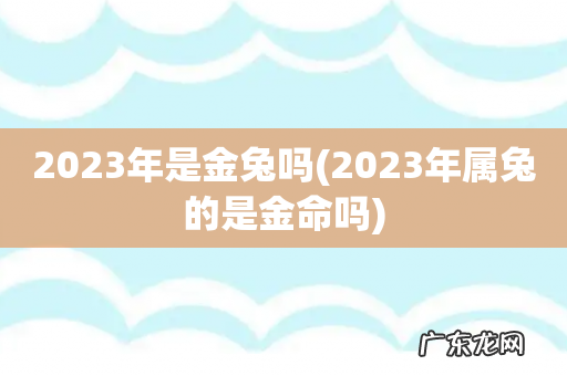 2023年属兔的是金命吗 2023年是金兔吗