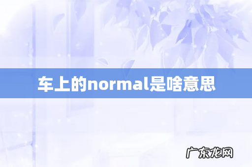 车上的normal是啥意思
