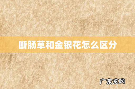 断肠草和金银花怎么区分
