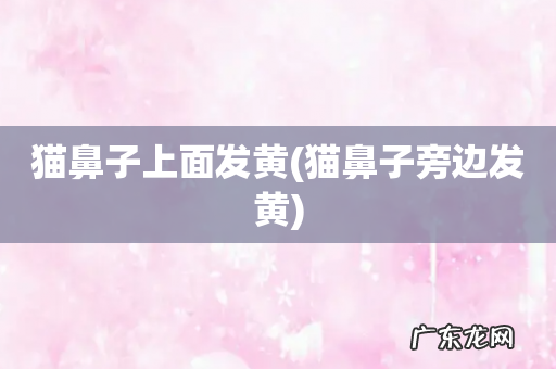 猫鼻子旁边发黄 猫鼻子上面发黄