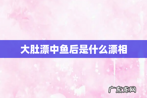 大肚漂中鱼后是什么漂相