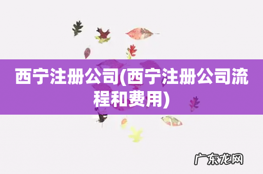 西宁注册公司流程和费用 西宁注册公司