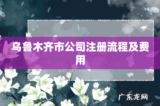 乌鲁木齐市公司注册流程及费用