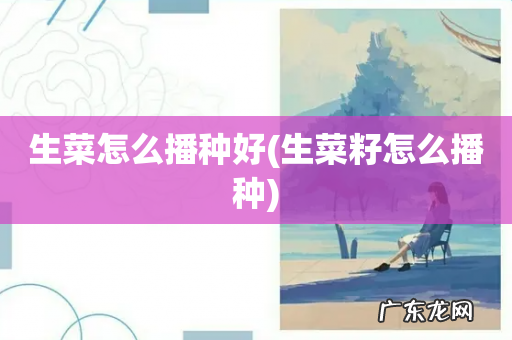 生菜籽怎么播种 生菜怎么播种好