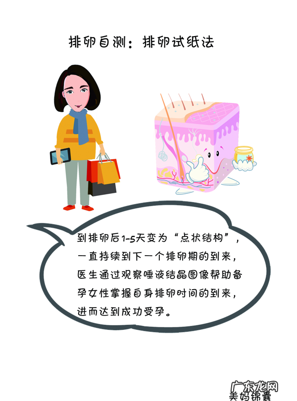 排卵试纸完整一个月图解 排卵试纸怎么用最准确