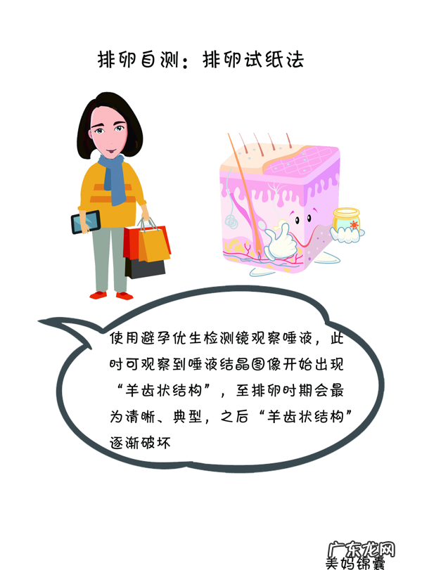 排卵试纸完整一个月图解 排卵试纸怎么用最准确