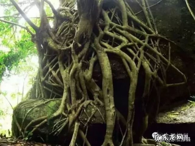 河北第一村白沙村 藤县藤州镇白沙村