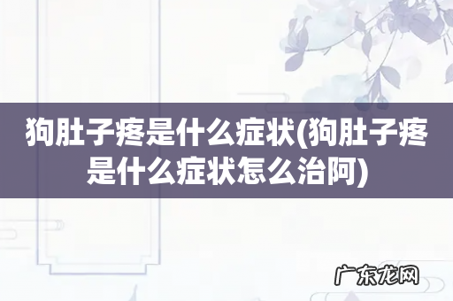 狗肚子疼是什么症状怎么治阿 狗肚子疼是什么症状