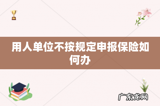 用人单位不按规定申报保险如何办