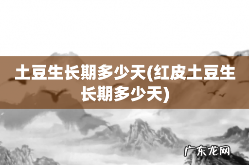 红皮土豆生长期多少天 土豆生长期多少天