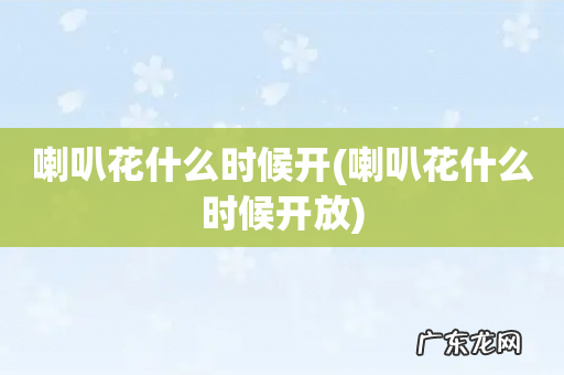 喇叭花什么时候开放 喇叭花什么时候开