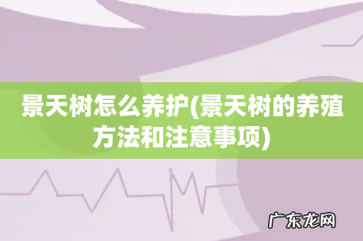景天树的养殖方法和注意事项 景天树怎么养护