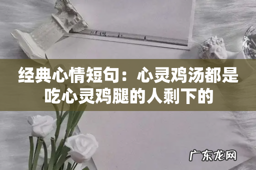 经典心情短句：心灵鸡汤都是吃心灵鸡腿的人剩下的