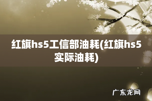 红旗hs5实际油耗 红旗hs5工信部油耗