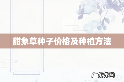 甜象草种子价格及种植方法