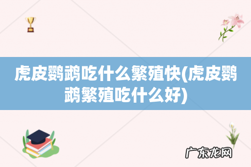虎皮鹦鹉繁殖吃什么好 虎皮鹦鹉吃什么繁殖快