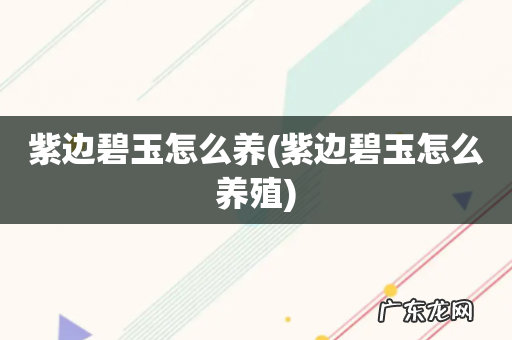 紫边碧玉怎么养殖 紫边碧玉怎么养