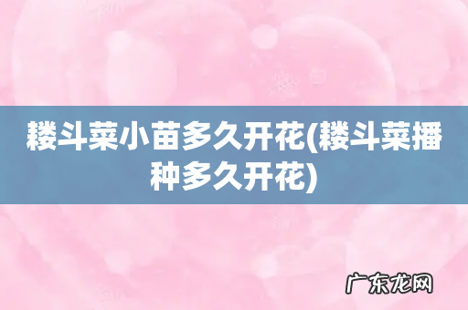 耧斗菜播种多久开花 耧斗菜小苗多久开花