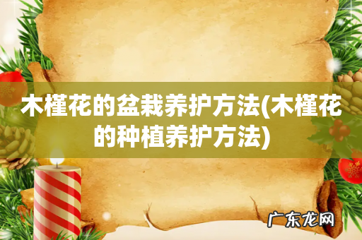 木槿花的种植养护方法 木槿花的盆栽养护方法