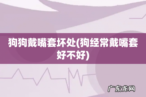 狗经常戴嘴套好不好 狗狗戴嘴套坏处