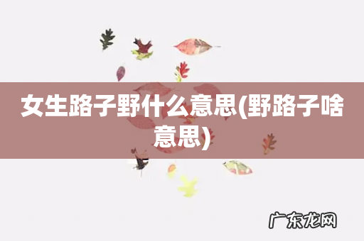 野路子啥意思 女生路子野什么意思