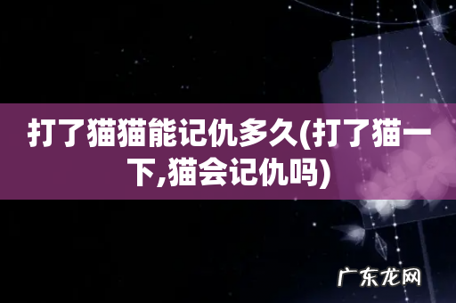 打了猫一下,猫会记仇吗 打了猫猫能记仇多久