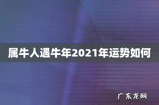 属牛人遇牛年2021年运势如何