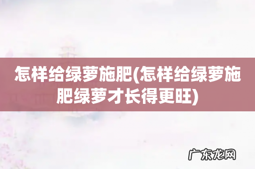 怎样给绿萝施肥绿萝才长得更旺 怎样给绿萝施肥
