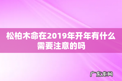松柏木命在2019年开年有什么需要注意的吗
