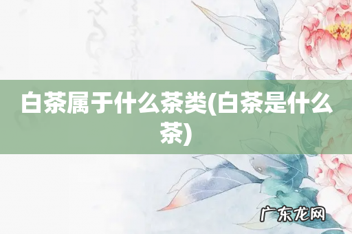 白茶是什么茶 白茶属于什么茶类