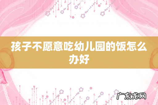 孩子不愿意吃幼儿园的饭怎么办好