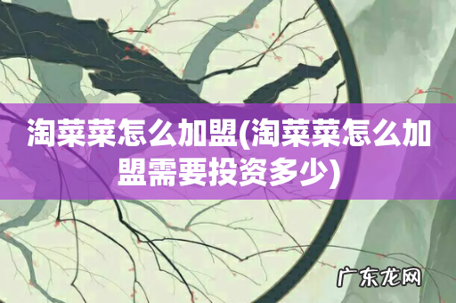 淘菜菜怎么加盟需要投资多少 淘菜菜怎么加盟