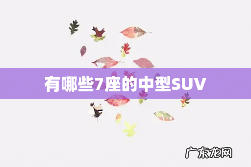 有哪些7座的中型SUV