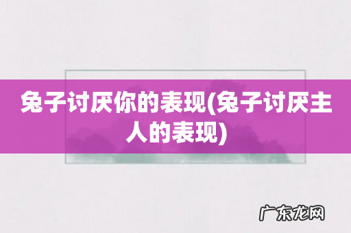 兔子讨厌主人的表现 兔子讨厌你的表现