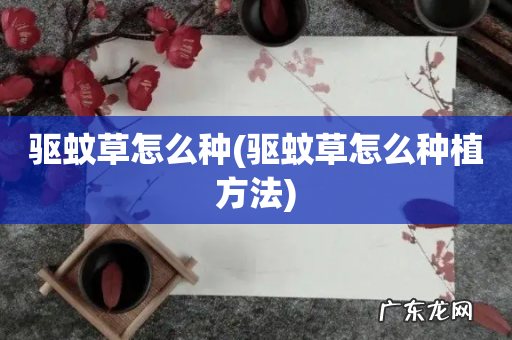 驱蚊草怎么种植方法 驱蚊草怎么种