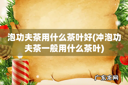 冲泡功夫茶一般用什么茶叶 泡功夫茶用什么茶叶好