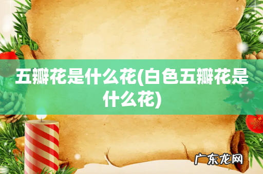 白色五瓣花是什么花 五瓣花是什么花