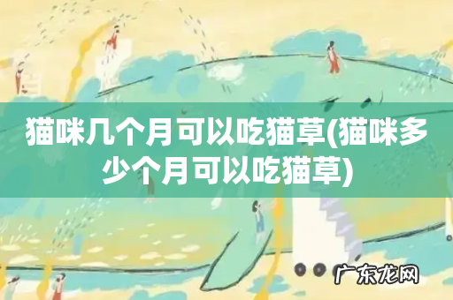 猫咪多少个月可以吃猫草 猫咪几个月可以吃猫草