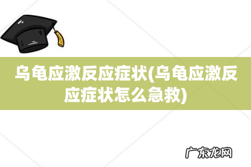 乌龟应激反应症状怎么急救 乌龟应激反应症状